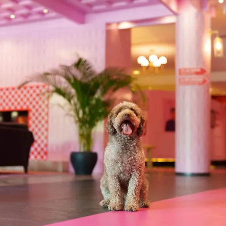 호텔 The Grand - Pop-up Self Check-in *