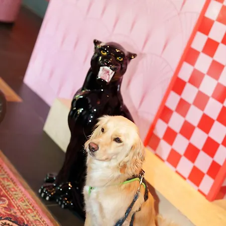 The Grand - Pop-up Self Check-in 호텔 *