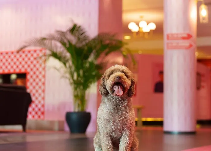 ホテル The Grand - Pop-up Self Check-in *