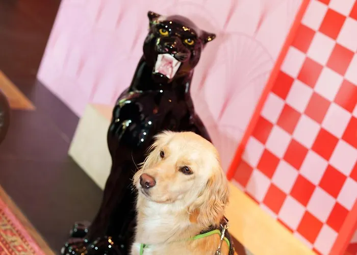 The Grand - Pop-up Self Check-in Hotel *